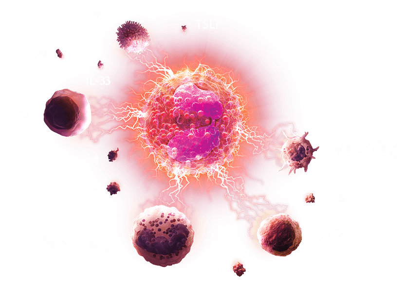 cells_image